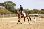 SBM_009184