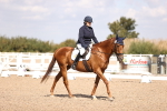 SBM_03662