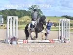 BPP_1316