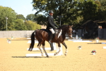 SBM_18846
