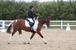 SBM_003578