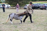 WJ6_6978