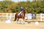 SBM_017619