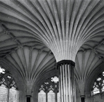 Wells Cathedral Chapter House Columns