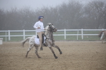 SBM_000952