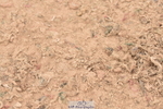 231011A-131734-00540