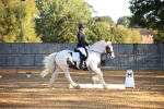 SBM_18272