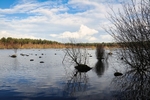 A lake