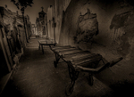 2015 Winner - Moscow International Foto Awards (Fine Art) portfolio