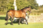 SBM_15689