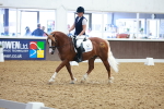 SBM_008999
