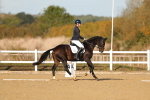 SBM_009214
