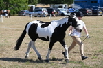WJ6_8586