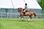 SBM_03753