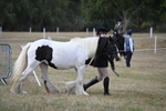 WJ6_6398