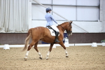 SBM_020039