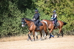 WJ6_8341