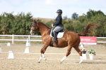 SBM_016050