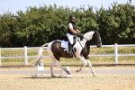 SBM_009241