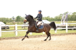 SBM_007914
