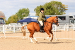 SBM_15490