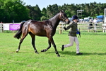 SBM_01094