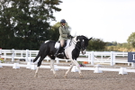 SBM_07960