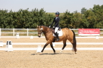 SBM_004382