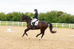 SBM_006883