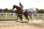 SBM_003933
