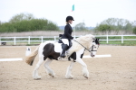 SBM_006565