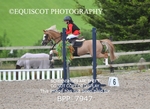 BPP_7947