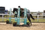 SBM_003032