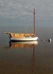Morning Reflections