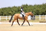 SBM_003990