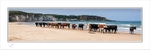 2020-331CP Cows on White Park Beach Co Antrim
