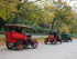 Hyde Park, London To Brighton Veteran Car Race
