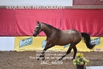 JAC_4659