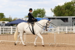 SBM_15871