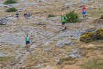 Hutton Roof-297