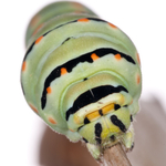 ITA_PHD_20110913-002