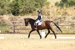 SBM_001367