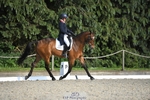 132-OGUE_VERDI-Kitty_King-WEDTrotUp+DR portfolio