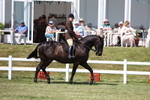 3E7A8116