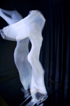 Metamorphosis portfolio