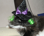Happy Halloween!