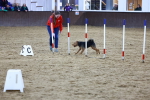 SBM_006085