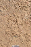 240403A-132354-00595