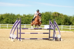 SBM_002591