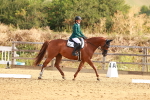 SBM_000201